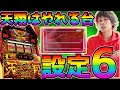 【６号機でも出る】ついにホールで設定６確定天翔をガチツモ!!【詳細データあり】【ハナハナホウオウ〜天翔〜】【#ぶっちゃけ!!#28】