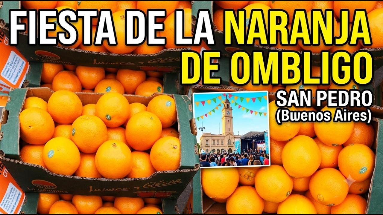 Fiesta Provincial de la Naranja de Ombligo en San Pedro: producción, exportación y trabajo local