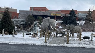 Kalahari Resorts & Convention Sandusky Ohio - VLOG 2022