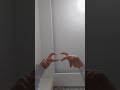 #preppy #keşfet #tiktok #imnotcool #games #ytdayibenionecikarnolur #music #pkxduniversd #oldies
