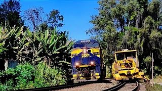 Trem da MRS na ferrovia do centro Pátio Buarque de Macedo