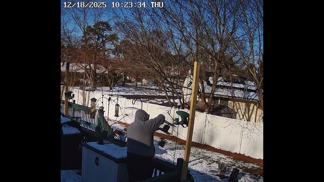 Ruby-crowned Kinglet shows up while I am filling the feeder