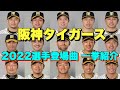 【プロ野球】阪神タイガース 2022年シリーズ、選手が登場曲に使用している曲・アーティストを一挙ご紹介【まとめ・ランキング・雑学】