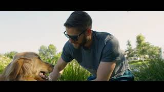 KOI Product Video   Pets Soft Chews Master screenshot 5