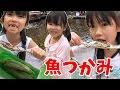 お魚つかみ体験★マスを捕まえて食べるよ！★にゃーにゃちゃんねるnya-nya channel