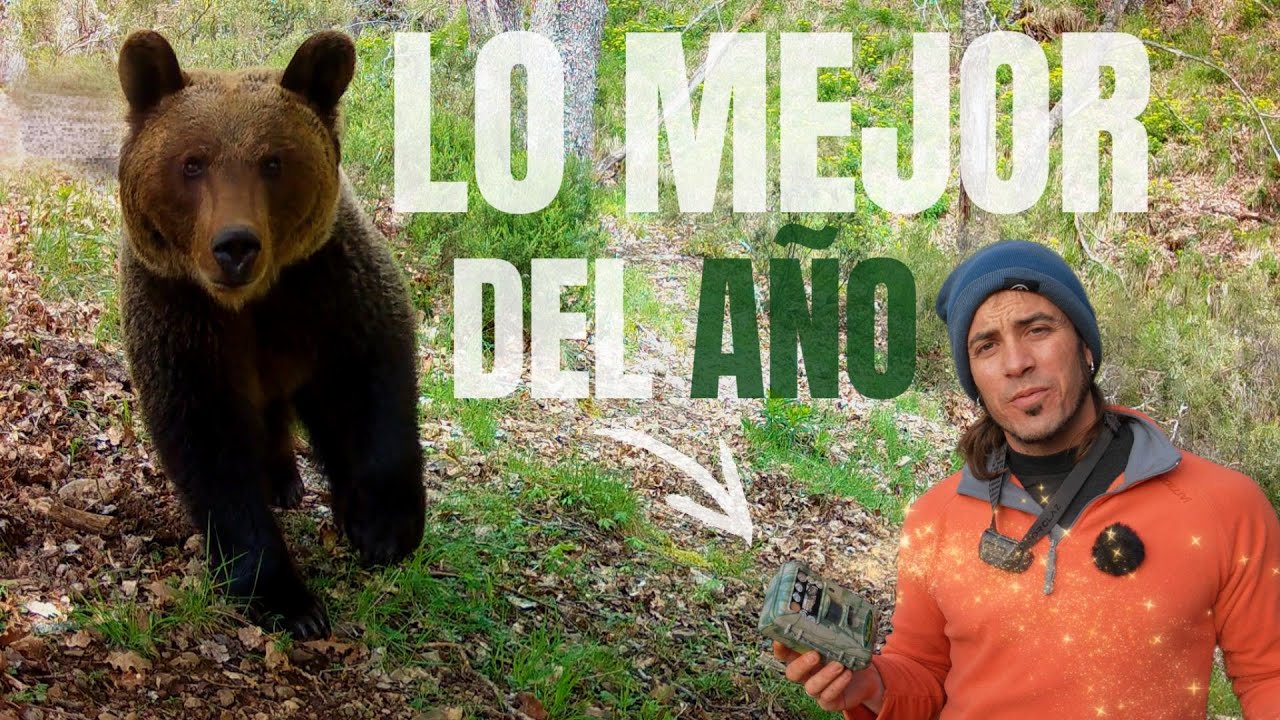 FOTOTRAMPEO 2025. LO MEJOR DEL AÑO