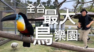 【南投好魅力】全台最大鳥樂園，草屯九九峰動物樂園 ... 