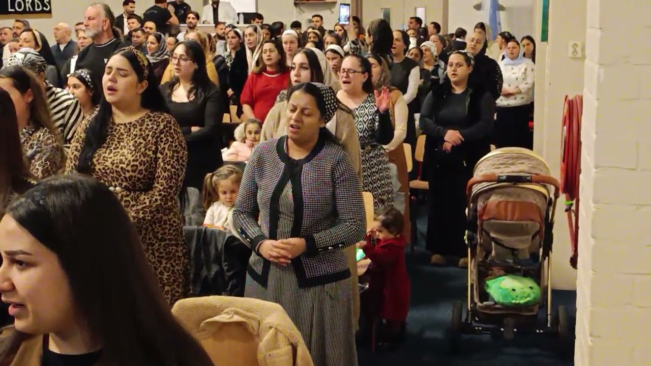 Leviții  din România în Olanda 