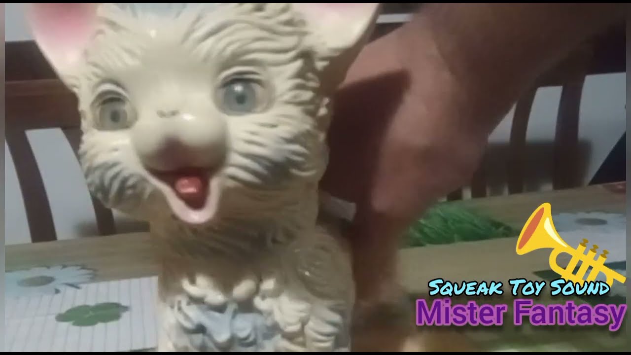 🎺Ledraplastic Squeak🎺Toy Funny🤡Prank Sound x Dog 🐶Cat😹