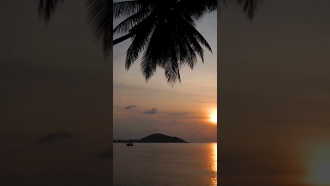 🇧🇷REMIX OF THE BEACHES OF THE WORLD🌎BEACH BRAZIL🏝SUMMER SEASON BRAZIL 