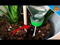 Put THAT in your PLANTS and WATCH WHAT HAPPENS 💥 (Automatic watering) 🤯