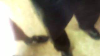 SNC00113.mp4