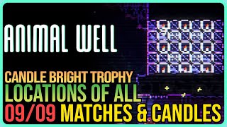 All Matches and Candles Animal Well