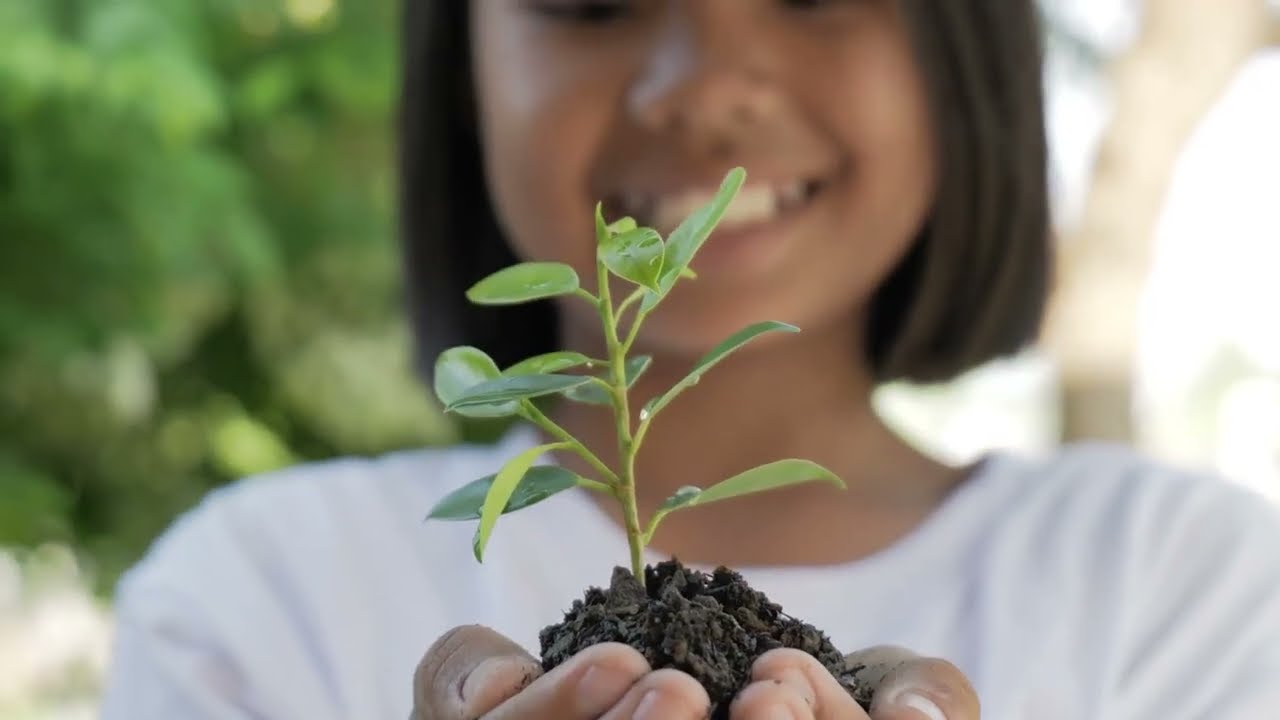 One Tree Planted for Every POWRBANK Built | POWR2 Reforestation Initiative