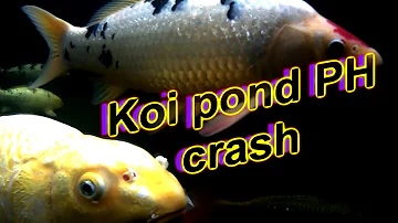 Jak hodnotit pH v přírodě?