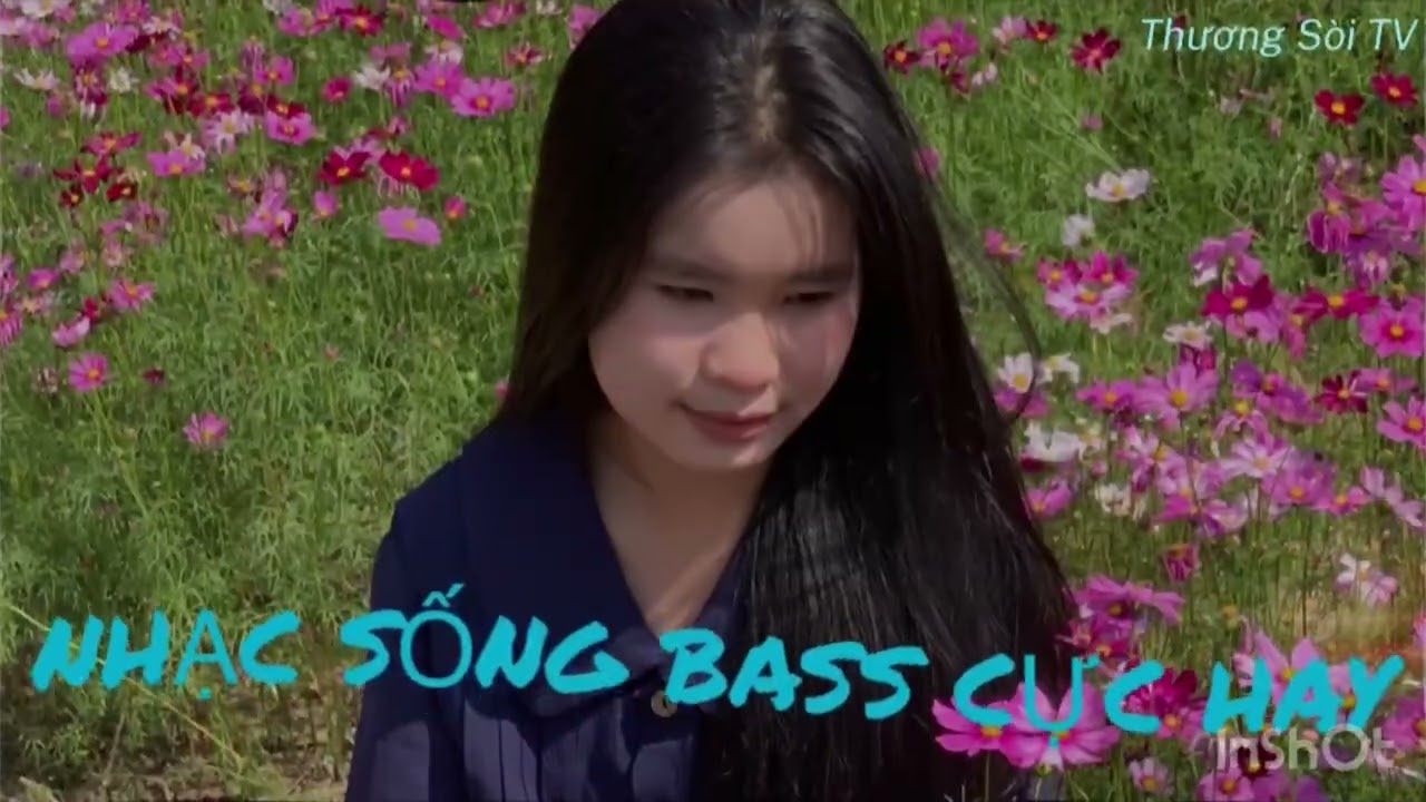 Nhạc sống bass cực hay năm 2026