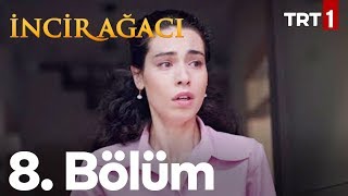 İncir Ağacı 8 Bölüm