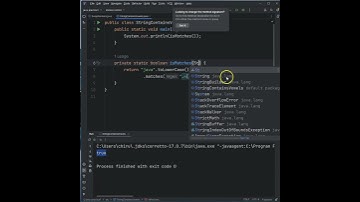 Check If Your String Has Any Vowels In Java