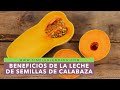 BENEFICIOS DE LA LECHE DE SEMILLAS DE CALABAZA | Propiedades de las semillas de calabaza