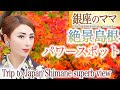 Japan Trip 銀座のママの全国パワースポット巡り 絶景島根県 縁結び足立美術館 島根蕎麦まつうら 松江フォーゲルパーク 結婚 子宝 復縁 婚活 癒し 紅葉 Japan autumn