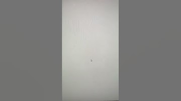 how to use sensibull / #sensibull #sharemarket #shorts #short / stockmarket for beginners / #stocks