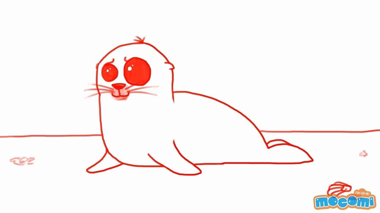 How to Draw a Seal - Step By Step Drawing for Kids | Educational Videos