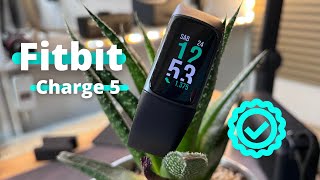 Fitbit চার্জ 5: এই ব্রেসলেটটি সবকিছু পরিমাপ করে #fitbit #fitbitcharge5 screenshot 4