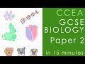 All of CCEA BIOLOGY Paper 2 in 15 minutes - GCSE Science Revision