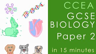 All of CCEA BIOLOGY Paper 2 in 15 minutes - GCSE Science Revision screenshot 3