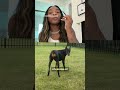 Simone Biles reveals three masked men stole her Porsche