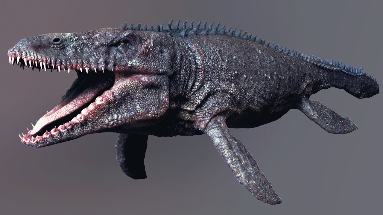 RACKSUZ / ramazan ozekici - Mosasaurus Sculpt Project