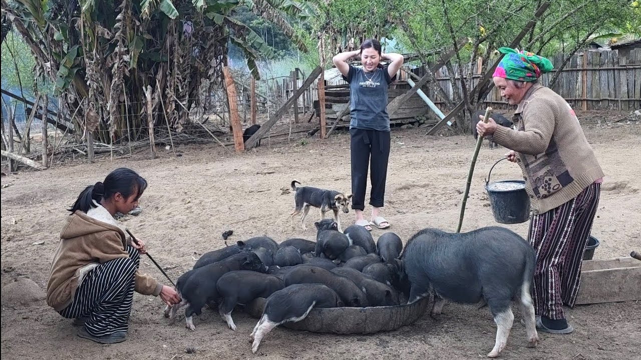 March 3,2026. Puas Tseem Nco Teb Chaws No.