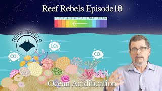Ocean Acidification and The Great Barrier Reef