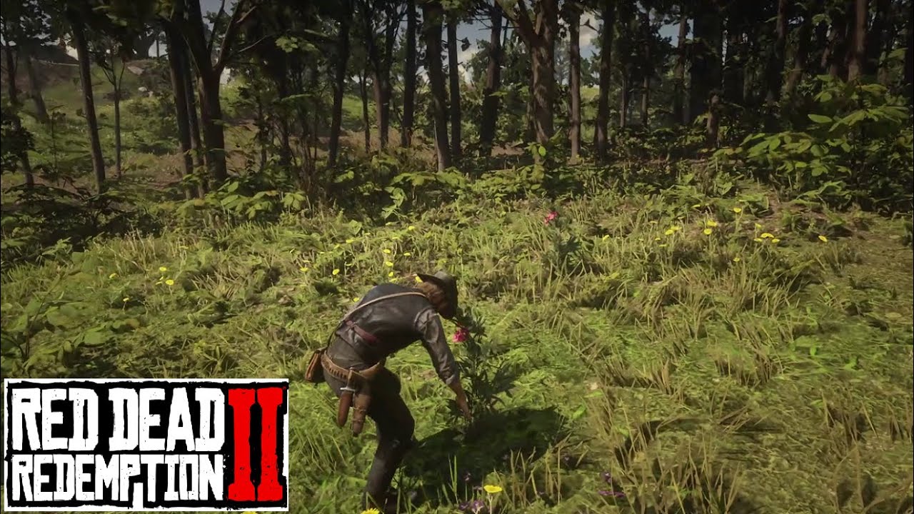 Arthur Can't Help Eating Oleander Sage... | Red Dead Redemption 2