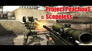 Project PeachouS : Scopeless
