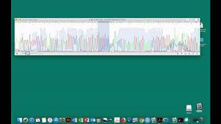 Sequence Analysis Protocol - Determine Genotype of CYP2C19  - Peaks Mac