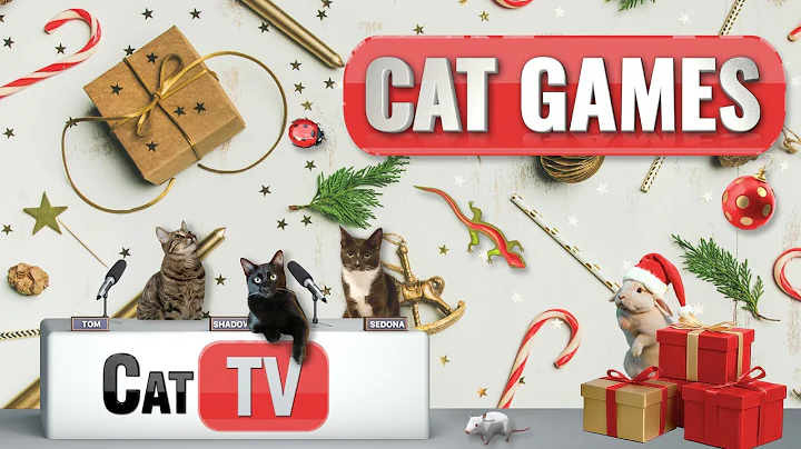 🎁 Christmas Cat Games 2025 | 🎅 Holiday Cat TV Compilation | 8 Hours of Cozy Winter Fun for Cats 🐾