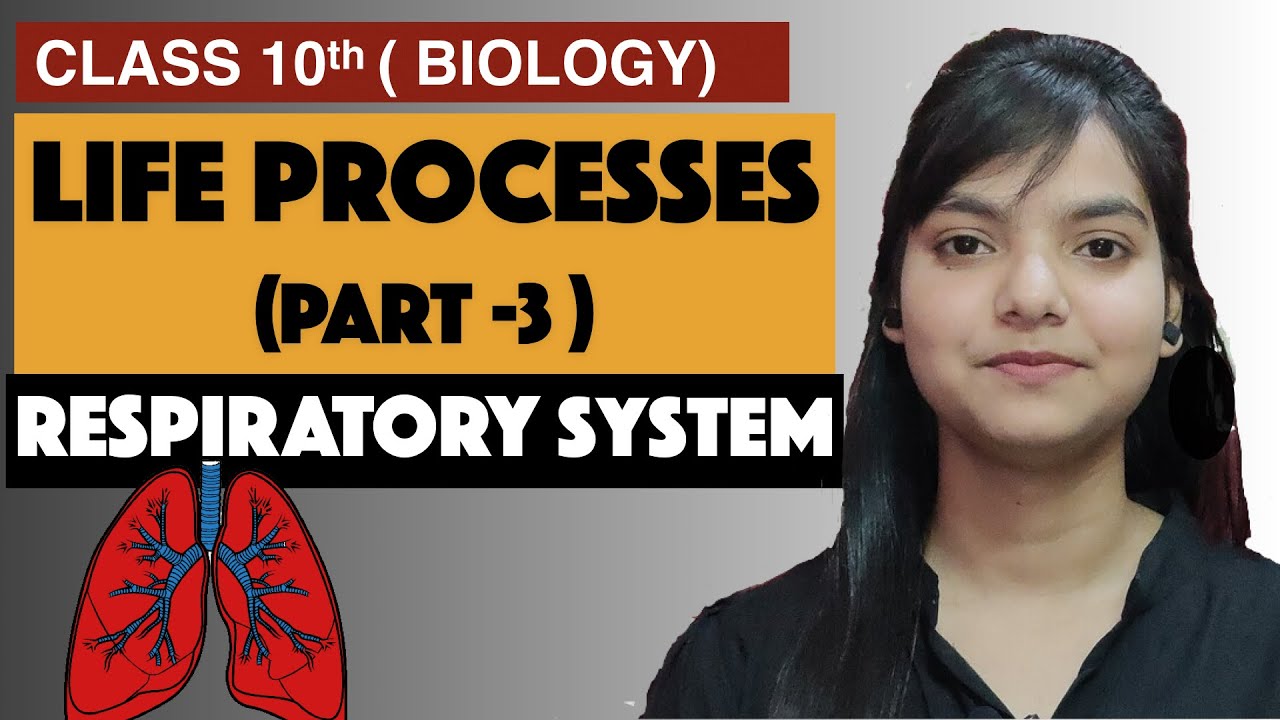 RESPIRATORY SYSTEM | LIFE PROCESSES | CLASS 10 SCIENCE - YouTube