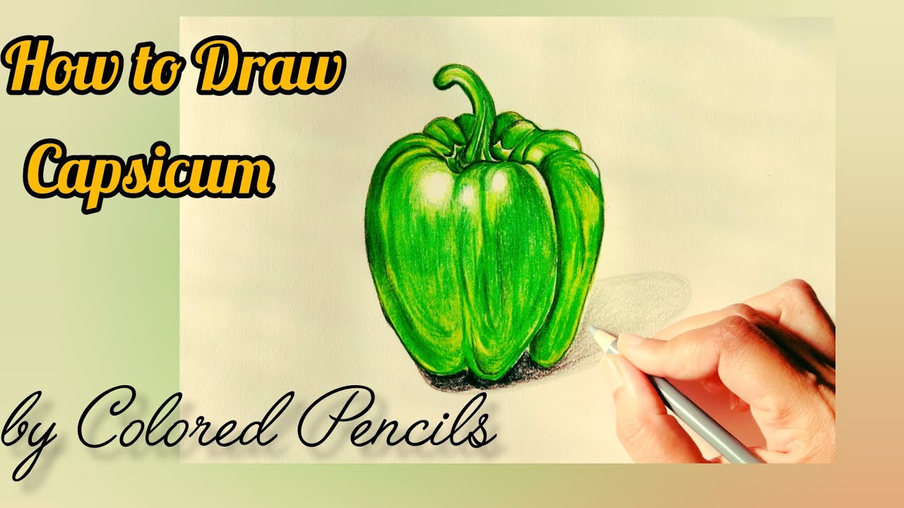 How To Draw a Realistic Capsicum or Bell Pepper | Step by Step Easy Drawing Tutorial for beginners