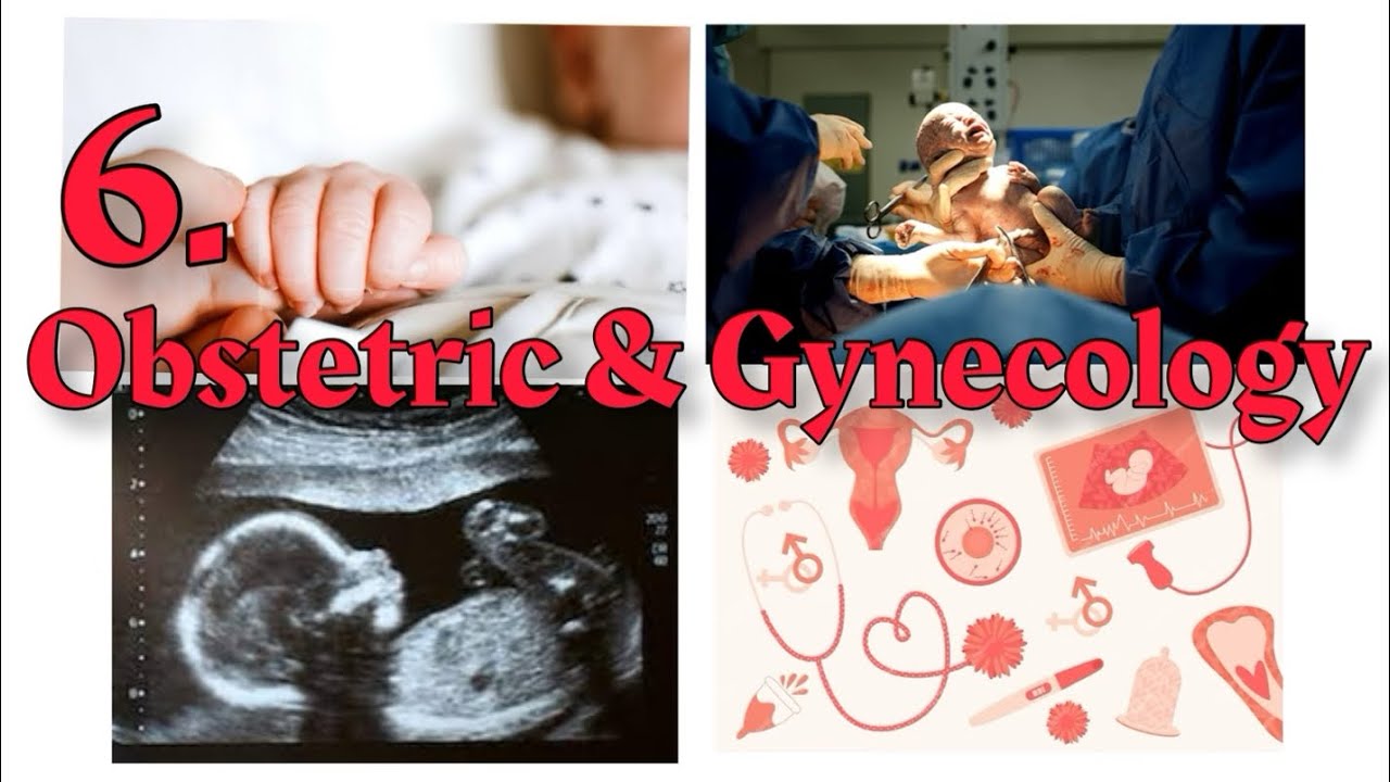 diagnosis-of-pregnancy-anc-youtube