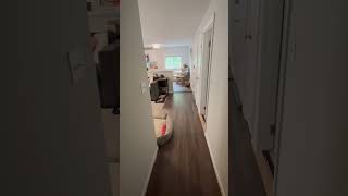 Boston Apartments - 2 Beds 1 Bath - Waltham