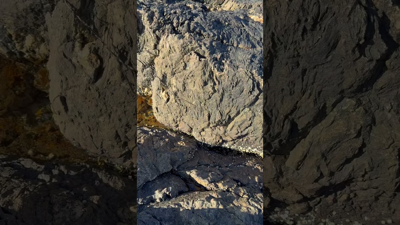 Coast of Maine Geology 