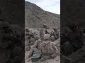 The endless training carried out by the marines.145#Marine Corps #military #war #usarmy #army #army