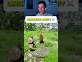 Ce jeu est addictif c’est un supplice #gamingfr #twitchfr # CrimsonDesert #clips #streamerfr