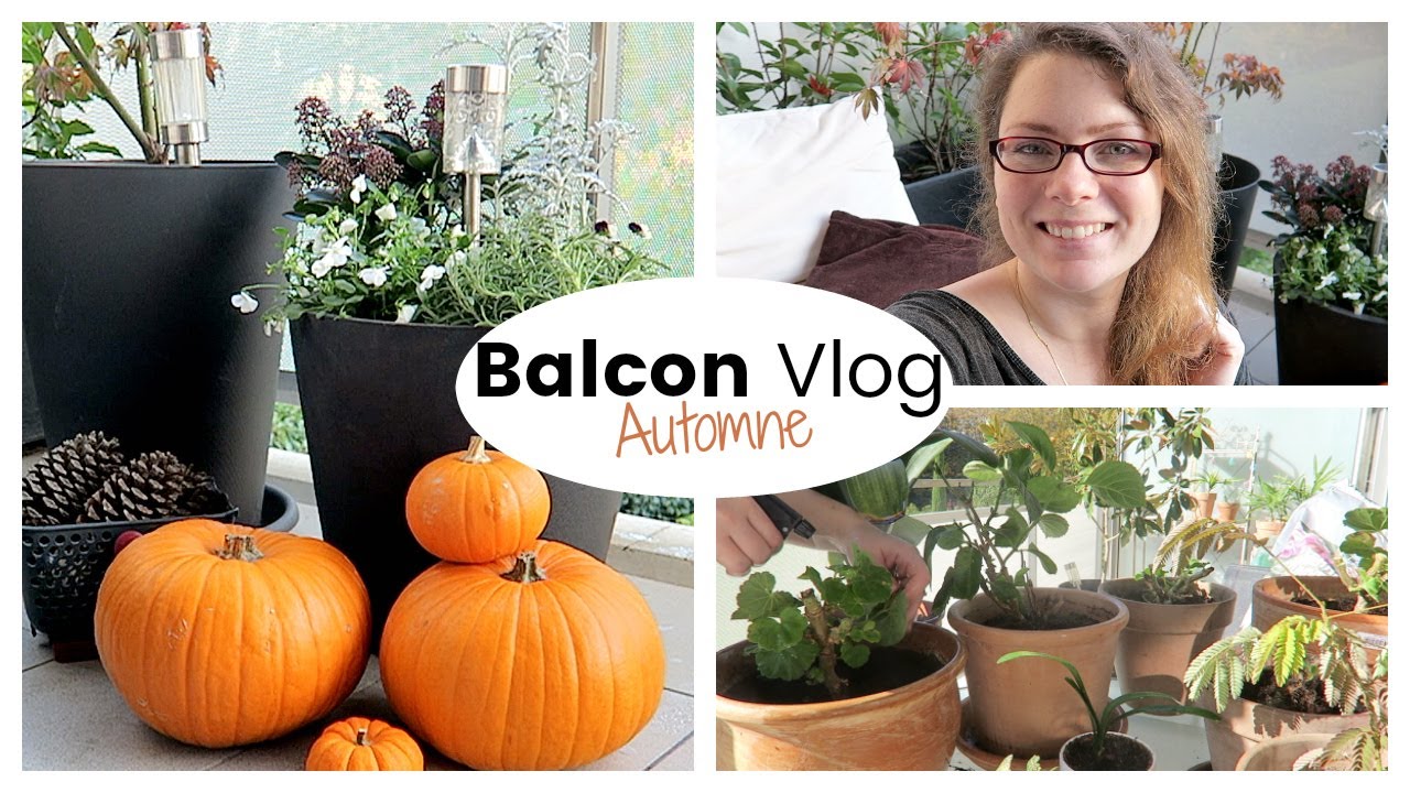 BALCON VLOG - Rentrer les plantes et décorer son balcon en automne | Vlog jardinage au balcon