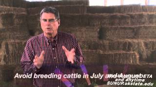 Cow-Calf Corner: Calving Seasons (5/23/15)