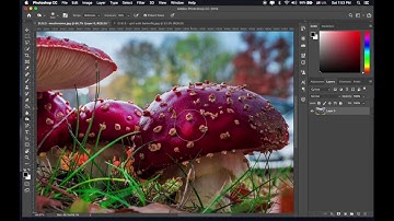 Dodge, Burn, and Sponge tools