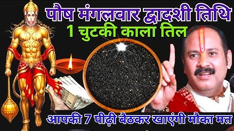 16 दिसंबर पौष मंगलवार द्वादशी तिथि के दिन 1 छुटकी काला तिल वाला उपाय जरुर करे || Pradeep Ji Mishra 