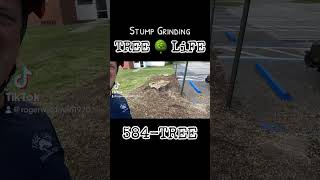 STUMP GRINDING LARGE AND MEDIUM SIZE HICKORY STUMPS WITH BANDIT ZT1844 FROM TREE LIFE 1 LLC 584-TREE