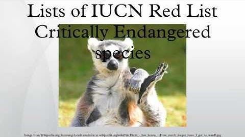 Lists of IUCN Red List Critically Endangered species